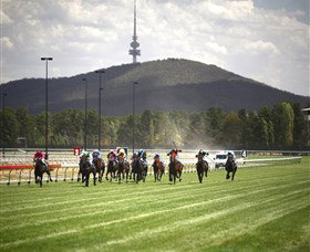 Thoroughbred Park Canberra Racing Club - Horse Racing In The Nations Capital - Accommodation 4U 3