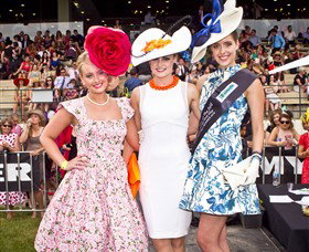 Thoroughbred Park Canberra Racing Club - Horse Racing In The Nations Capital - Accommodation 4U 2