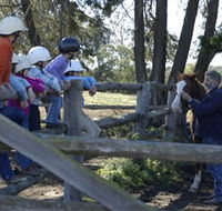 Harlow Park Horse Riding - Accommodation 4U