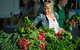Capital Region Farmers Markets - thumb 3