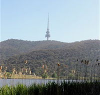 Black Mountain Peninsula - Accommodation 4U