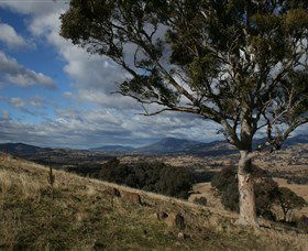 Yornup ACT Accommodation 4U