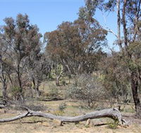 Remembrance Nature Park - Accommodation 4U