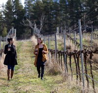 Mount Majura Vineyard - Accommodation 4U