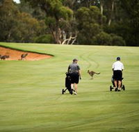 Federal Golf Club - Accommodation 4U