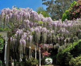 Mount Wilson NSW Accommodation 4U