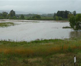 Jerrabomberra Wetlands - Accommodation 4U 1
