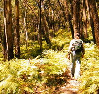 Federal Pass - Accommodation 4U