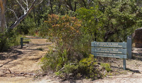 Mount Banks Road Cycle Route - Accommodation 4U 1