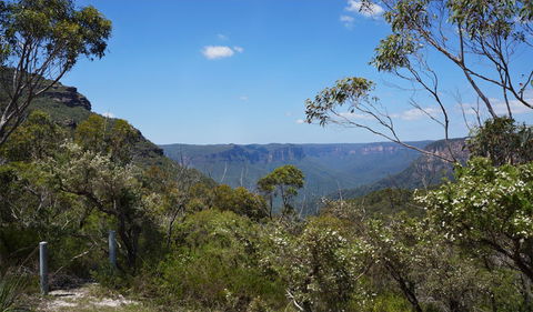 Mount Banks Road Cycle Route - Accommodation 4U 2