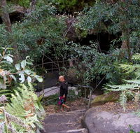 Leura Cascades Fern Bower - Accommodation 4U
