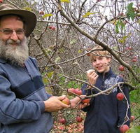 Pine Crest Orchard - Accommodation 4U