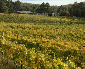 Lark Hill Biodynamic Winery - Accommodation 4U 2