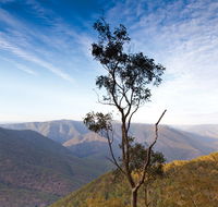 Salisbury Waters walking track - Accommodation 4U
