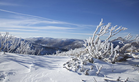 Rock Creek Snowshoe Track - Accommodation 4U 0