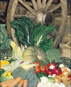 Mulgowie Real Farmers Markets - Accommodation 4U 0