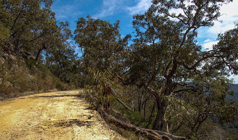 Parr State Conservation Area - Accommodation 4U 0