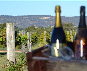 Ugly Duckling Wines - Accommodation 4U 1