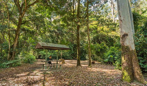 Tooloom National Park - Accommodation 4U 0