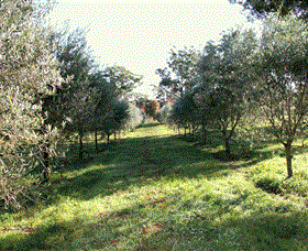 Langdale Farm - Accommodation 4U
