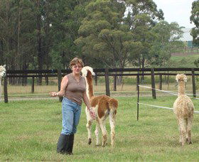 Langdale Farm - Accommodation 4U 4