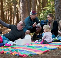 State Forests of the Watagan Mountains - Accommodation 4U