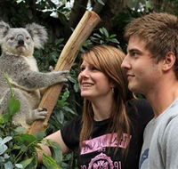 Featherdale Wildlife Park - Accommodation 4U