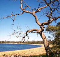 Lake Indoon - Accommodation 4U