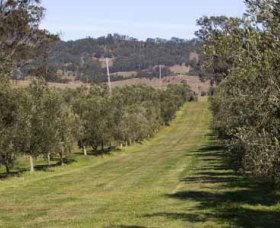 Bunna Bunoo Olive Grove - Accommodation 4U 1