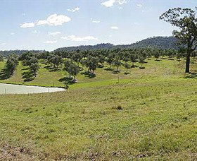 Bunna Bunoo Olive Grove - Accommodation 4U 5