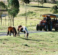 Calmsley Hill City Farm - Accommodation 4U