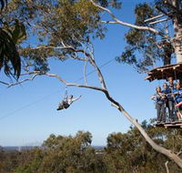 TreeTop Safari - Accommodation 4U