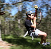 TreeTop Adventure Park Sydney - Accommodation 4U