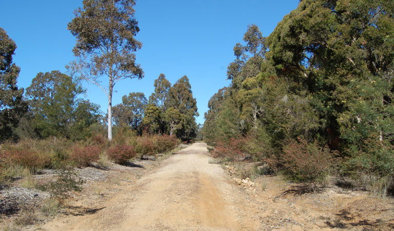 Elrington NSW Accommodation 4U