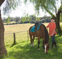 Sugarloaf Horse Centre - Accommodation 4U