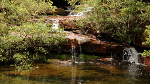 Popran National Park - Accommodation 4U 2