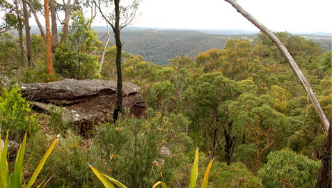 Popran National Park - Accommodation 4U 3