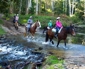 Glenworth Valley Horse Riding - Accommodation 4U 1