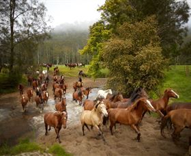 Glenworth Valley Horse Riding - Accommodation 4U 0