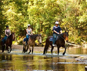 Glenworth Valley Outdoor Adventures - Accommodation 4U 2