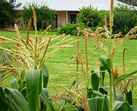Experiment Farm Cottage - Accommodation 4U 4