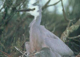 Jack Smith Lake State Game Reserve - Accommodation 4U 0