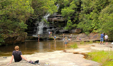 Somersby Falls Picnic Area - Accommodation 4U 0