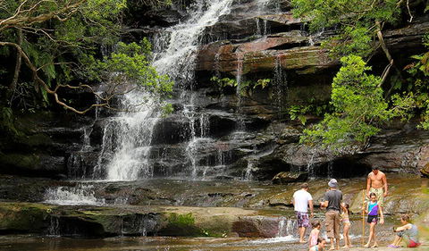 Somersby Falls Picnic Area - Accommodation 4U 2