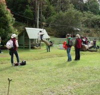 Forest of Tranquillity - Australian Rainforest Sanctuary - Accommodation 4U