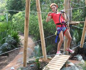 Urban Jungle Adventure Park - Accommodation 4U 0