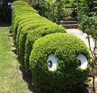 Nutcote - May Gibbs' Home - House Museum - Accommodation 4U