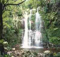 Budderoo National Park - The Falls Walk - Accommodation 4U