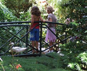 EG Waterhouse National Camellia Garden - Accommodation 4U 0