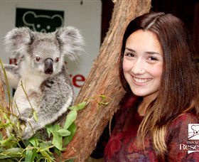 New Lambton NSW Accommodation 4U